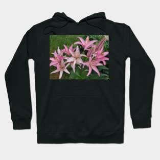 Pink Lily Hoodie